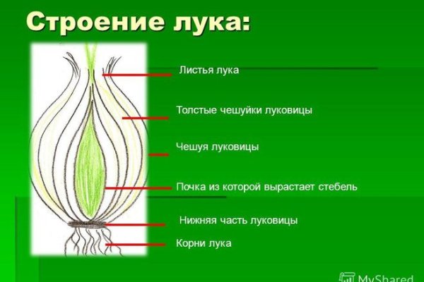 Оригинальный сайт кракен