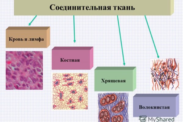 Сайт кракен зайти